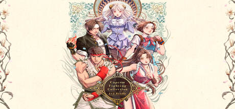 Capcom Fighting Collection 1 + 2 Bundle